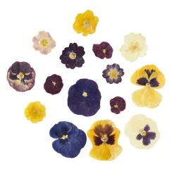 Edible Pressed Flowers
