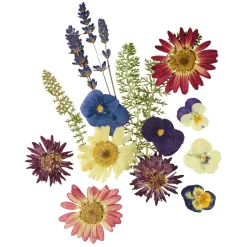 Edible Pressed Flowers and Leaves