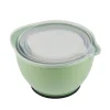 Lakeland Nesting Lidded Bowls